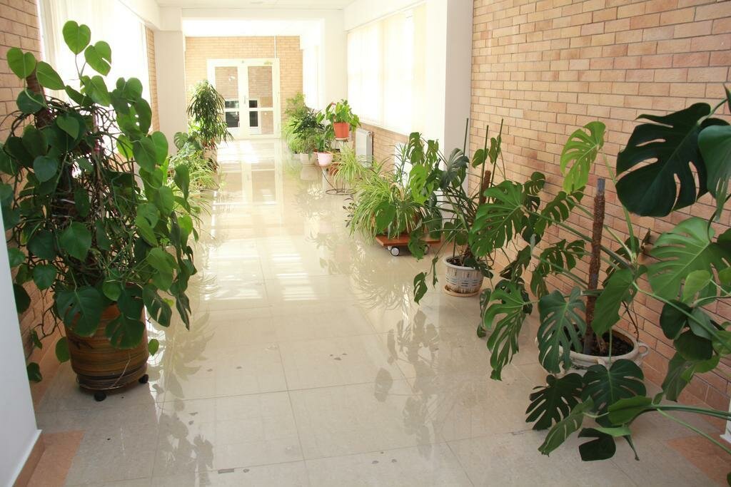 Гостиница МГИМО Отель Одинцово-27