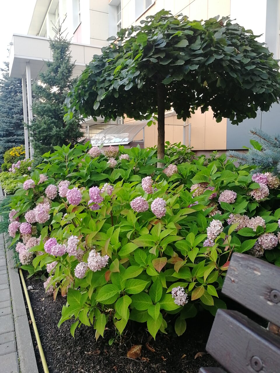 Гостиница МГИМО Отель Одинцово-8