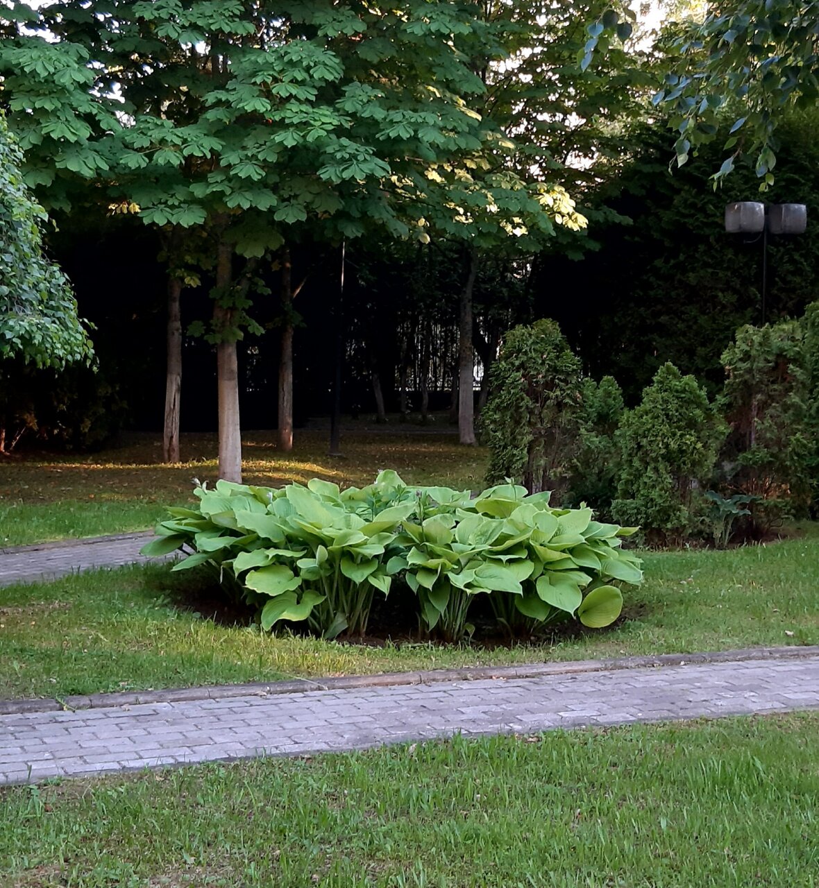 Гостиница МГИМО Отель Одинцово-128