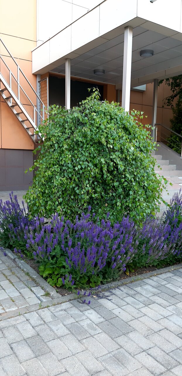 Гостиница МГИМО Отель Одинцово-112