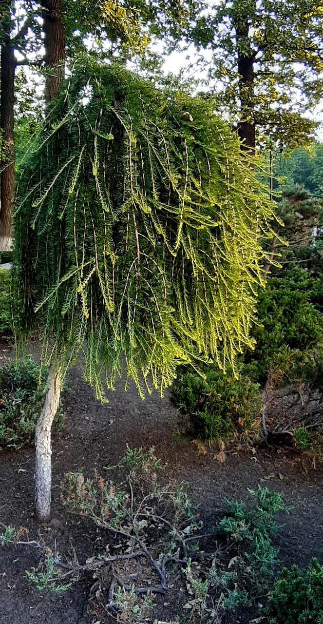 Гостиница МГИМО Отель Одинцово-124