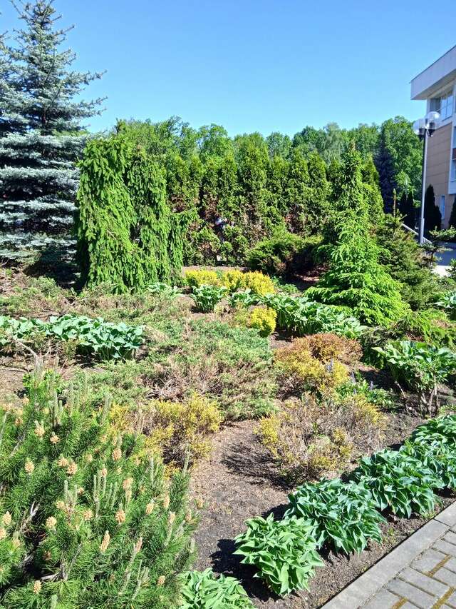 Гостиница МГИМО Отель Одинцово-105