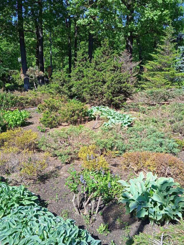 Гостиница МГИМО Отель Одинцово-137