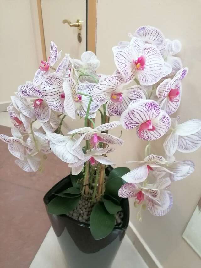 Гостиница МГИМО Отель Одинцово-107