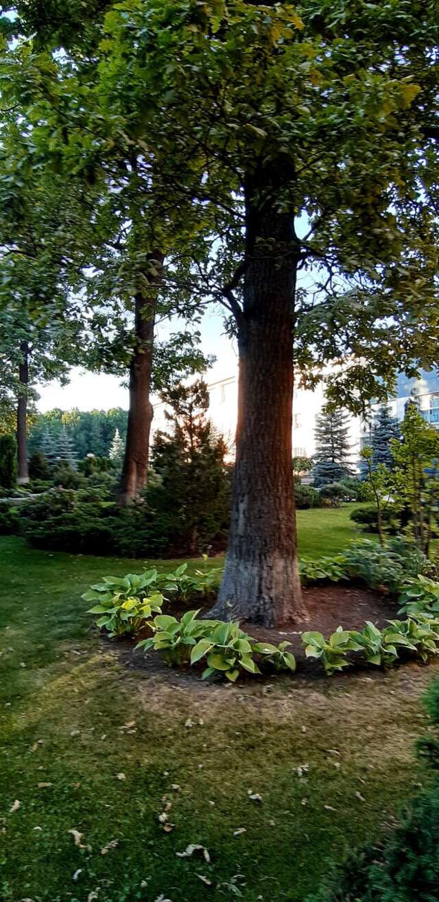 Гостиница МГИМО Отель Одинцово-112