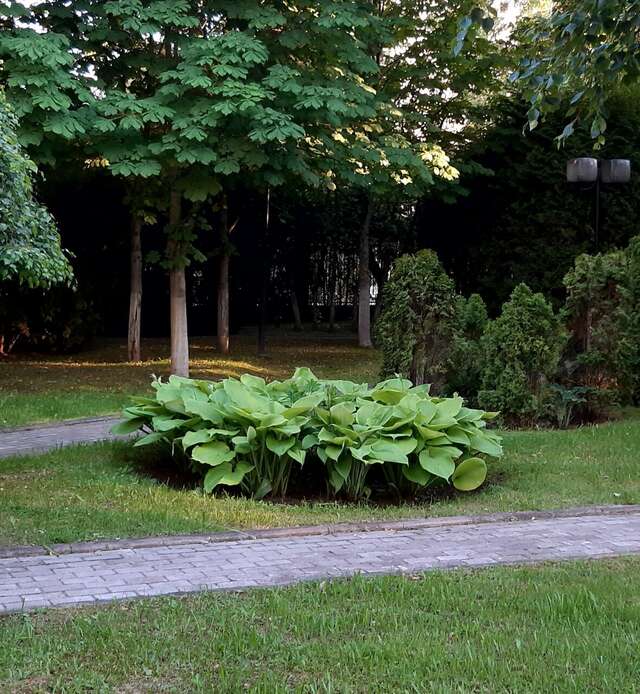 Гостиница МГИМО Отель Одинцово-127