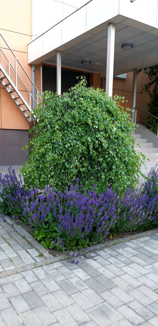 Гостиница МГИМО Отель Одинцово-111