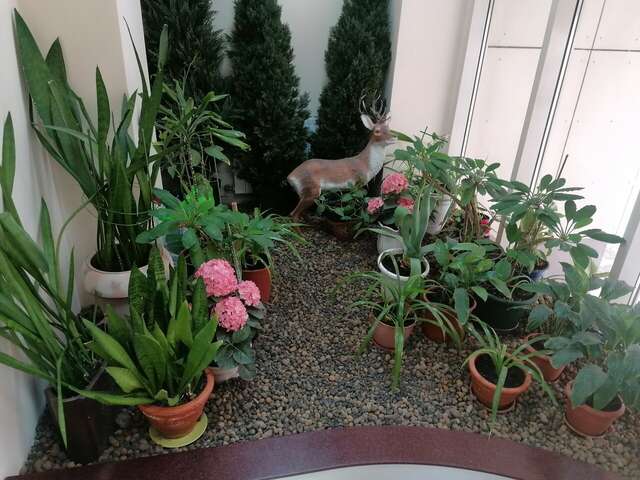 Гостиница МГИМО Отель Одинцово-129