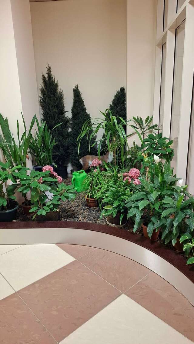 Гостиница МГИМО Отель Одинцово-142