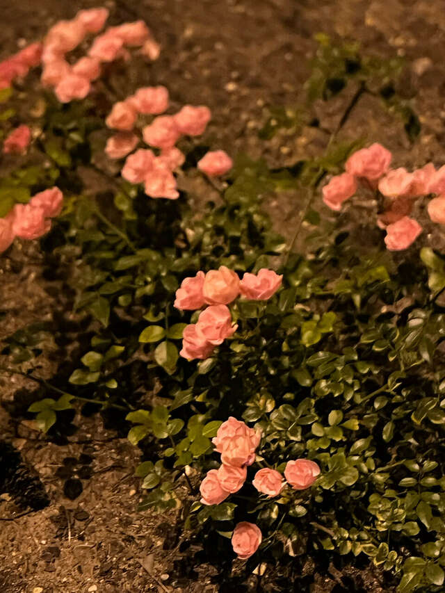 Гостиница МГИМО Отель Одинцово-121