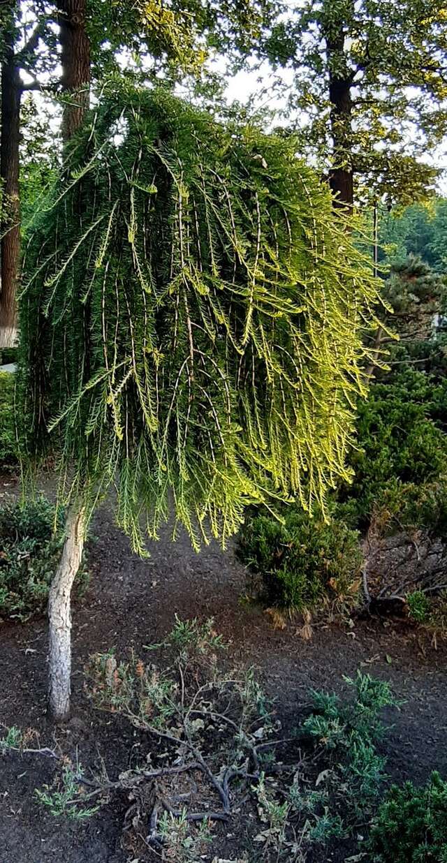 Гостиница МГИМО Отель Одинцово-123